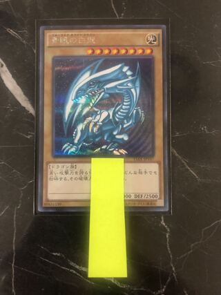 Exclusive for Chibi Chibi Good Rating 100Crash Through Commemorative Snubbull Eyes Sikku Gift