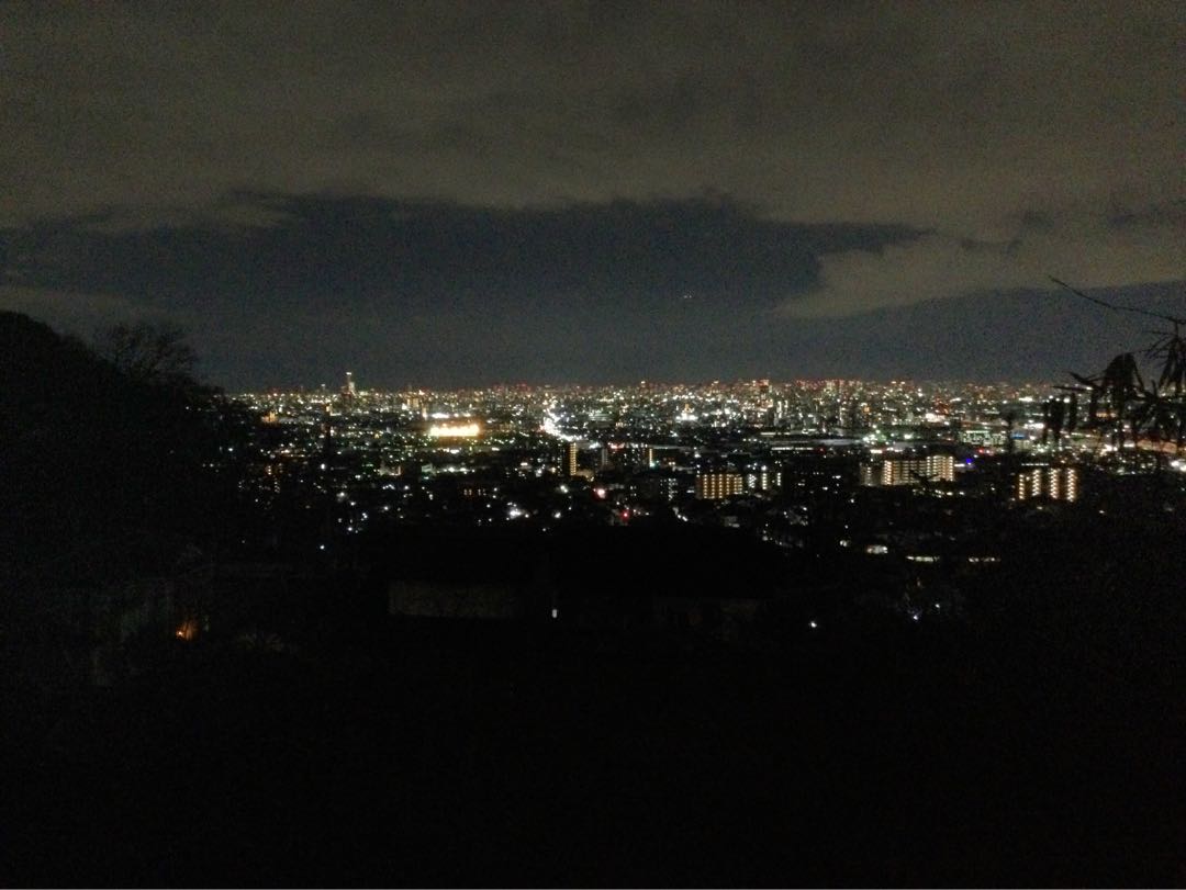 4 Fallen Castle, 1 Sapphire, 4 Terrace Zark Serpentine Princess.