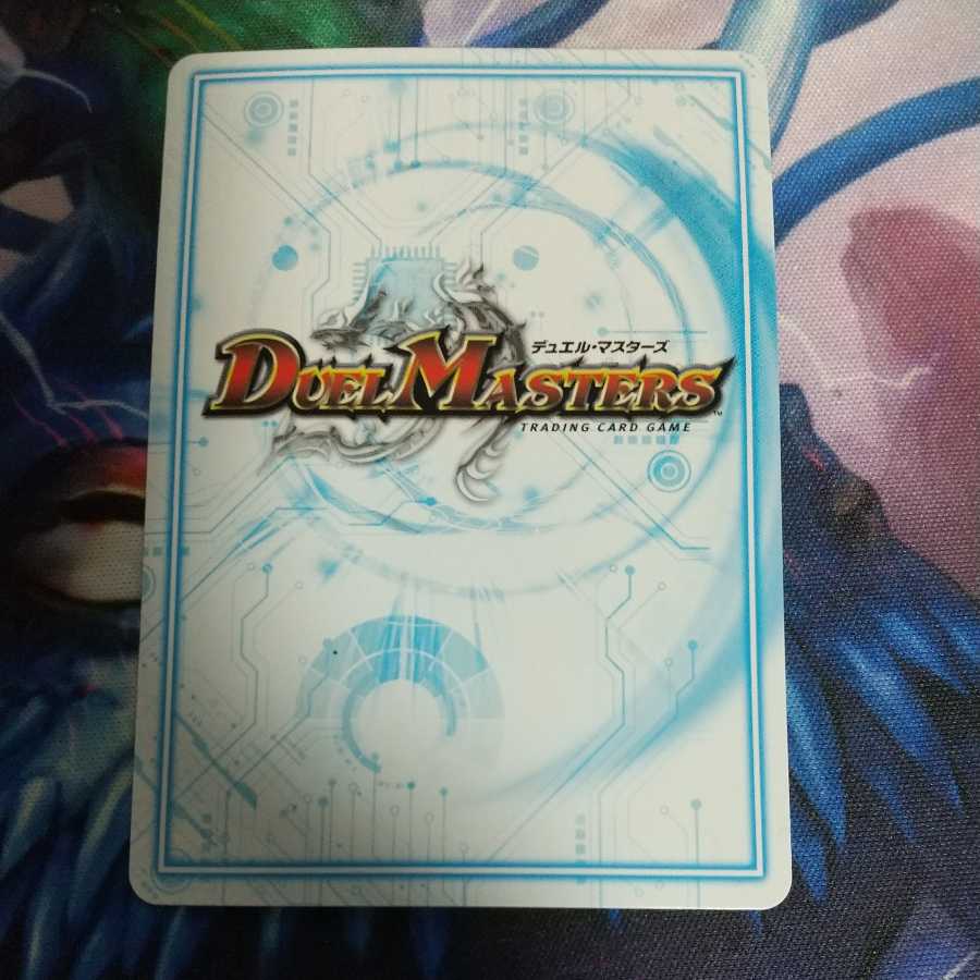 Red Lizard Red Shadow