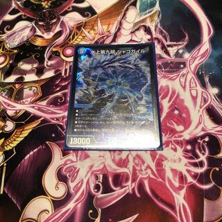 水上第九院 シャコガイル