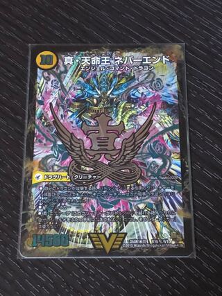 True Sacred Church Endless Heaven｜True Heavenly King Never End SE