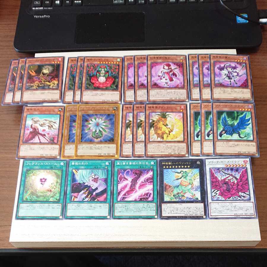 Black rose, black rose, plants, 26 deck parts