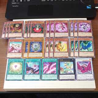 Black rose, black rose, plants, 26 deck parts