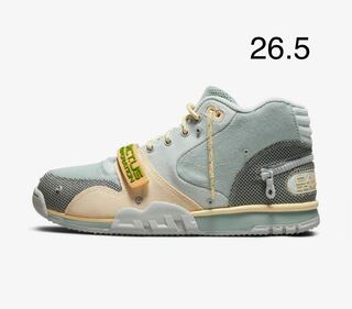 NIKE エアトレーナー1 カクタス・ジャック 26.5cm