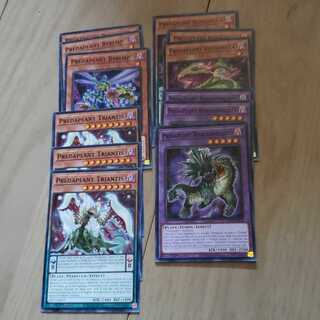 Complementary plants Deck parts 1枚