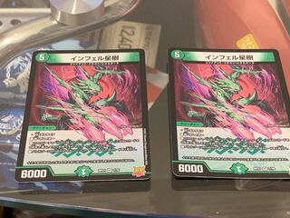 Infelix star tree (species of sedge, Infelix infertilis)