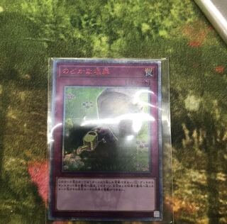 専用出品　プリマドーナ　のどかな埋葬　20th