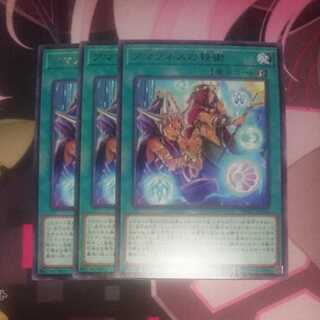 アマゾネスの秘術 レア 3枚