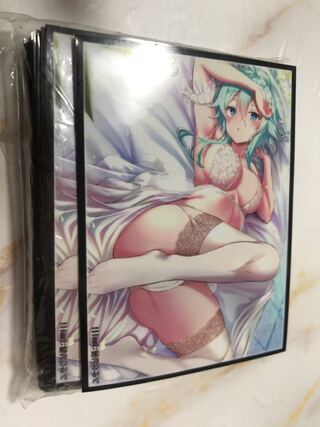 SAOシノンスリーブ