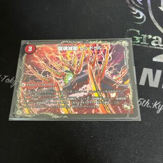 Ryukonjokaku Reduru｜Kyokushin Ryukon All Over the World (bottom)