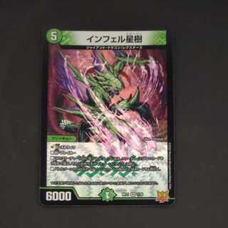 Infelix star tree (species of sedge, Infelix infertilis)