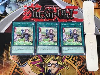 アロマガーデニング 1 ノーマル 3枚セット てら