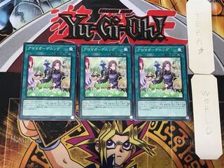 アロマガーデニング 2 ノーマル 3枚セット てら