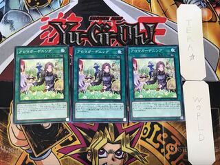 アロマガーデニング 3 ノーマル 3枚セット てら