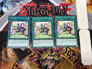 アロマガーデニング 4 ノーマル 3枚セット てら