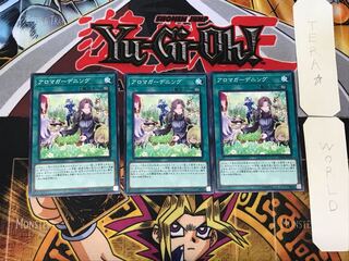 アロマガーデニング 5 ノーマル 3枚セット てら