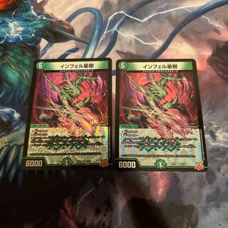 Infelix star tree (species of sedge, Infelix infertilis)