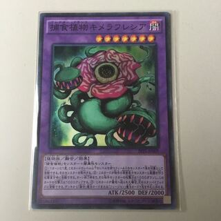 捕食植物キメラフレシア