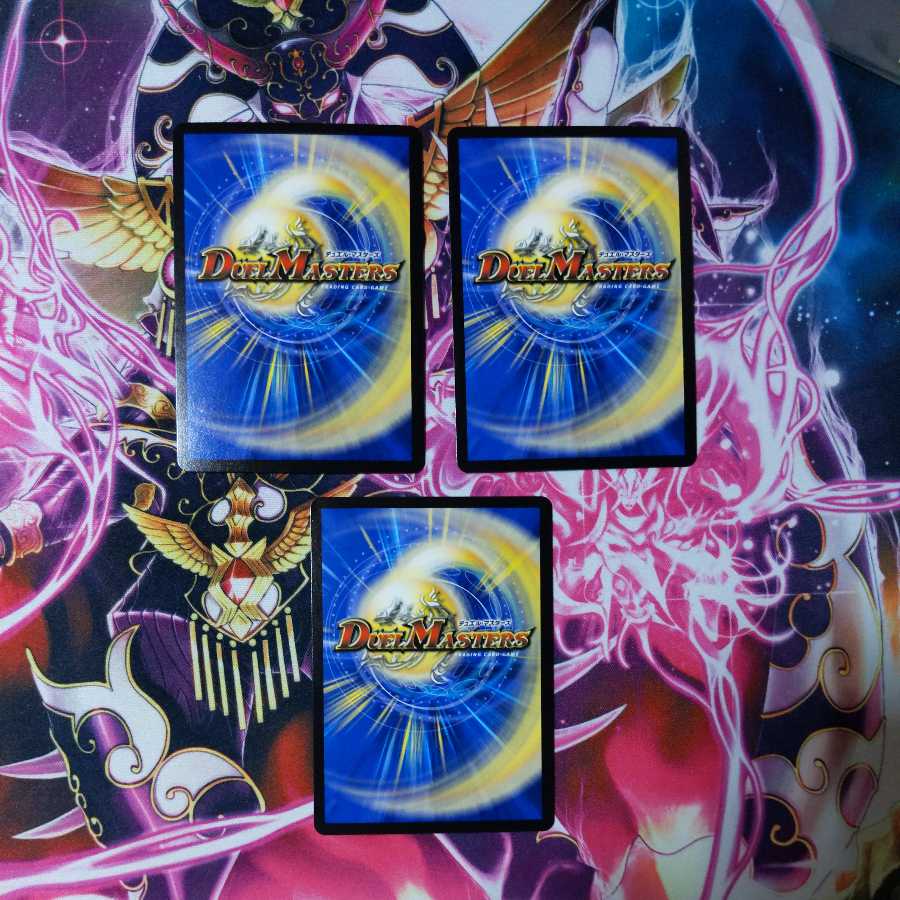 Knight of the Shield of the Absolute."