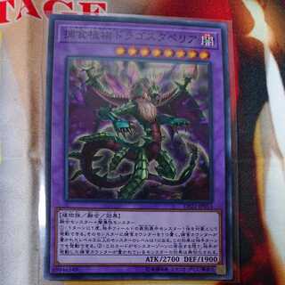 Predaplant Dragostapelia Normal