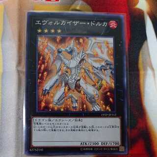 Evolzar Dolkka Normal