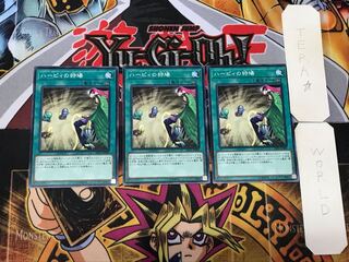 Harpies' Hunting Ground 4 Normal, set of 3 Tera.