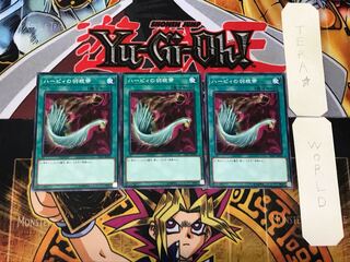 ハーピィの羽根箒 1 ノーマル 3枚セット てら