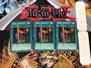 Dark Room of Nightmare 5 Normal 3-card set Tera