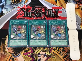 Solidarity 1 Normal, set of 3 Tera.