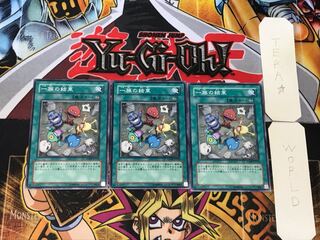 Solidarity 2 Normal, set of 3 Tera 1枚