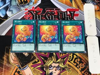 Soul Opening 1 Normal, set of 3 Tera.