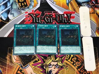 World Legacy Survivor 3 Normal, set of 3 Tera