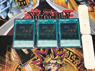 World Legacy Survivor 4 Normal, set of 3 Tera