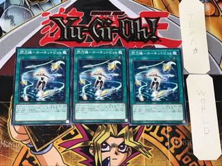 Senkouki - Hornet Bit 5 Normal, set of 3 Tera