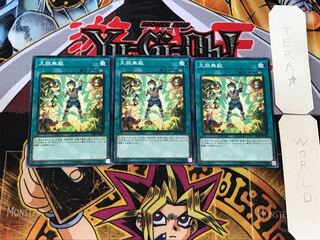 大胆無敵 1 ノーマル 3枚セット てら