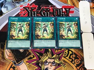 大胆無敵 3 ノーマル 3枚セット てら