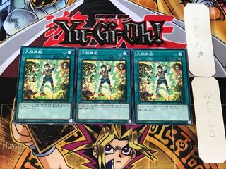 大胆無敵 4 ノーマル 3枚セット てら