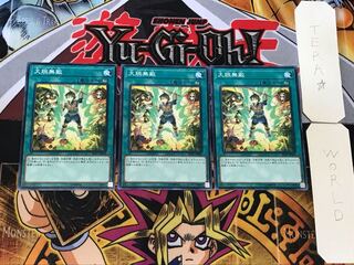 大胆無敵 5 ノーマル 3枚セット てら