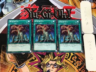 Predapruning 1 Normal, set of 3 Tera.