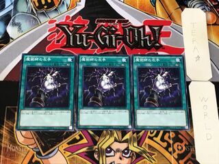 Magician's Left Hand 1 Normal, set of 3 Tera.