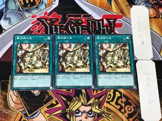 Secret Village of the Spellcasters 1 Normal 3-card set Tera