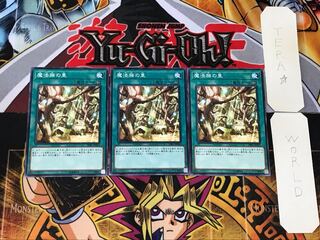 魔法族の里 2 ノーマル 3枚セット てら