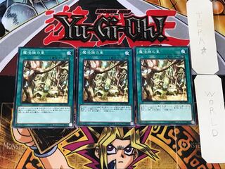 Secret Village of the Spellcasters 4 Normal 3-card set Tera