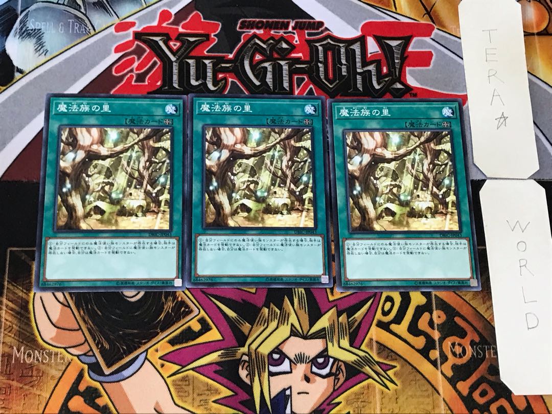 Secret Village of the Spellcasters 5 Normal 3-card set Tera