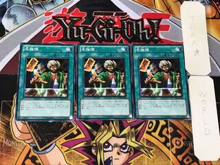 Reasoning 5 Normal, set of 3 Tera.