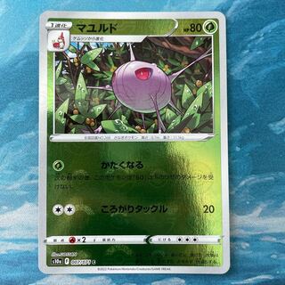 Pocket PC Cascoon (mirror)