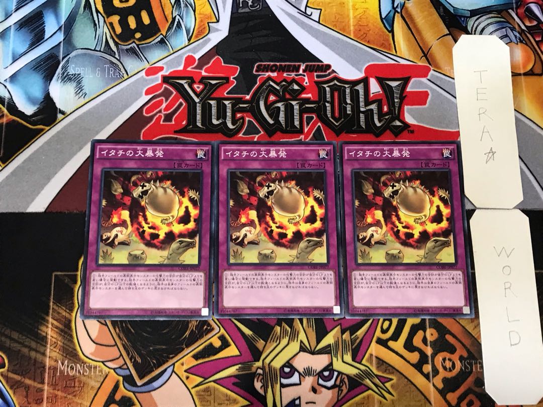 Ferret Flames 1 Normal, set of 3 Tera.