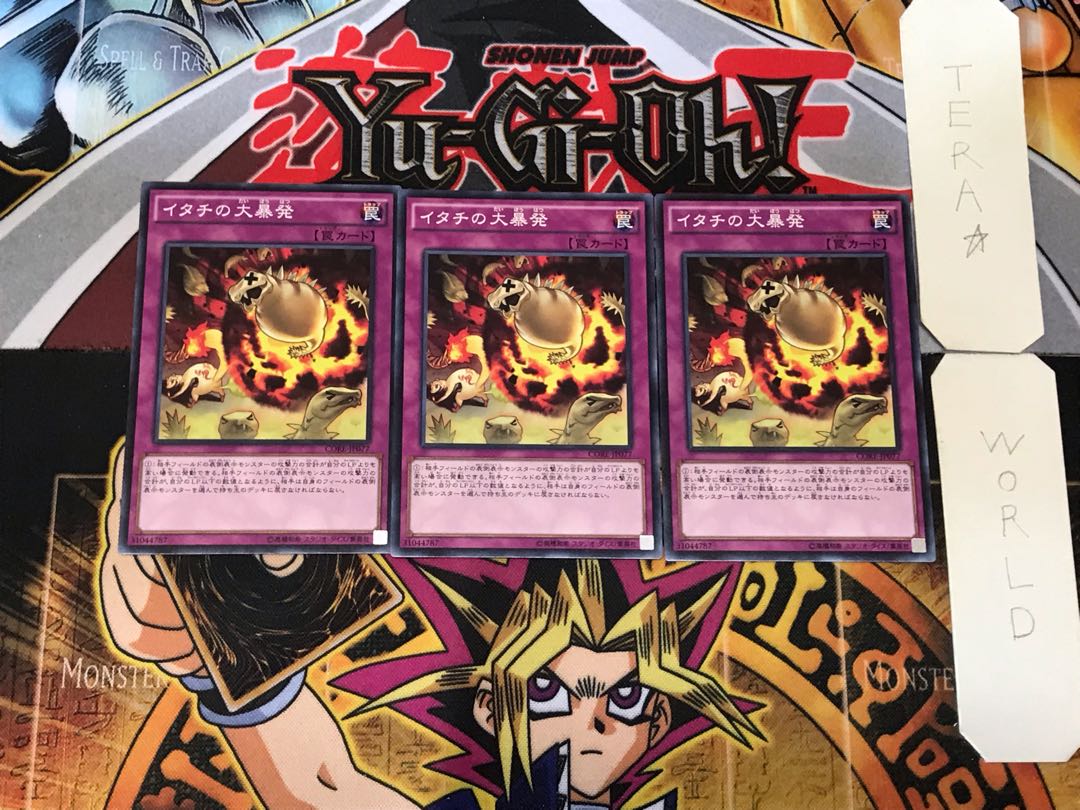 Ferret Flames 2 Normal, set of 3 Tera.