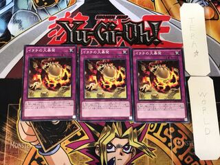 Ferret Flames 3 Normal Set of 3 Tera