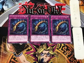 バージェストマ・カナディア 3 ノーマル 3枚セット てら